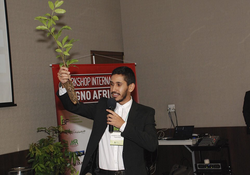 4º Workshop do Mogno Africano